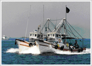 銀付き漁業　風景写真
